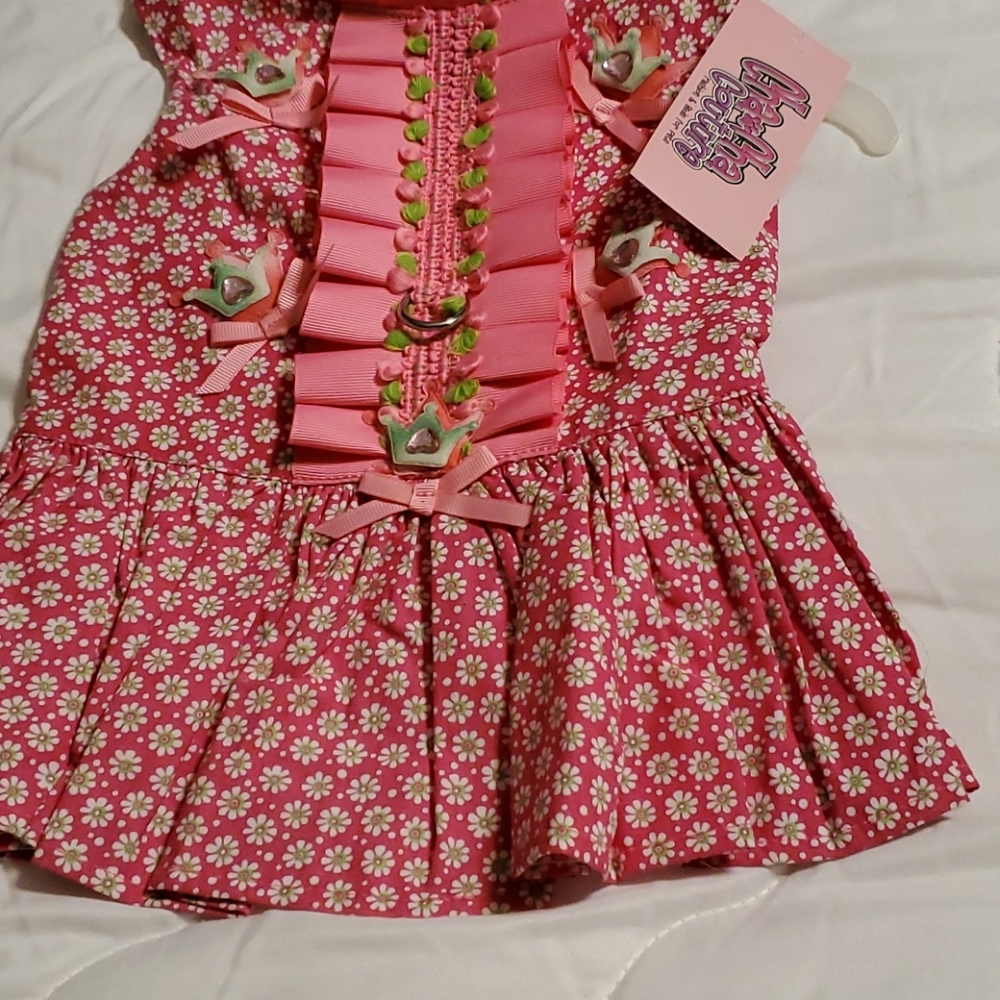 Cha cha Courtney Dress for Dogs